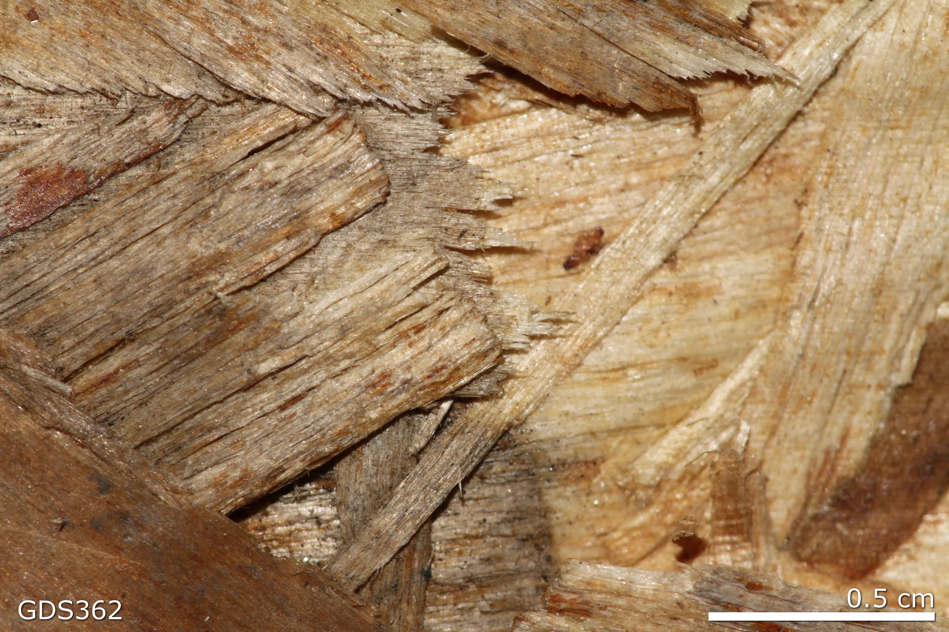 Strand Board sample photograph, USGS Spectral Library Version 7