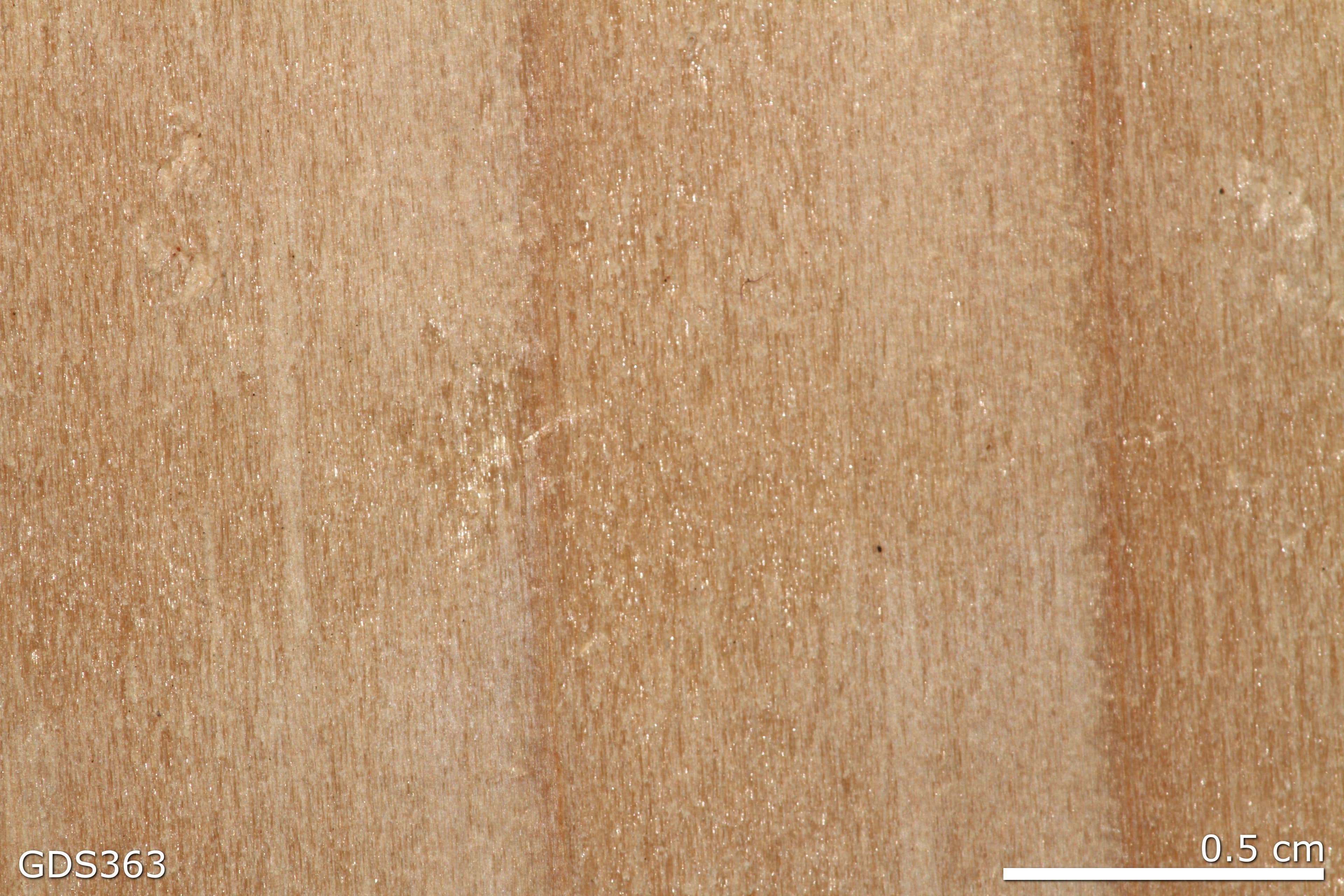 Wood Beam sample photograph, USGS Spectral Library Version 7