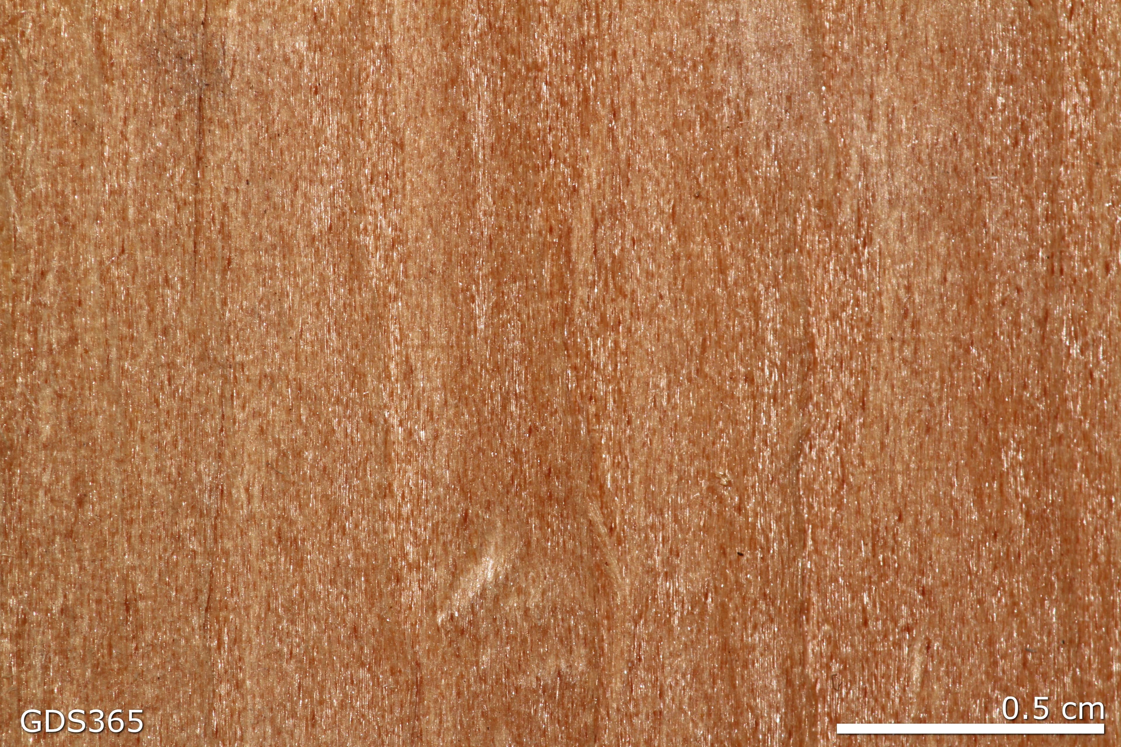 Plywood sample photograph, USGS Spectral Library Version 7