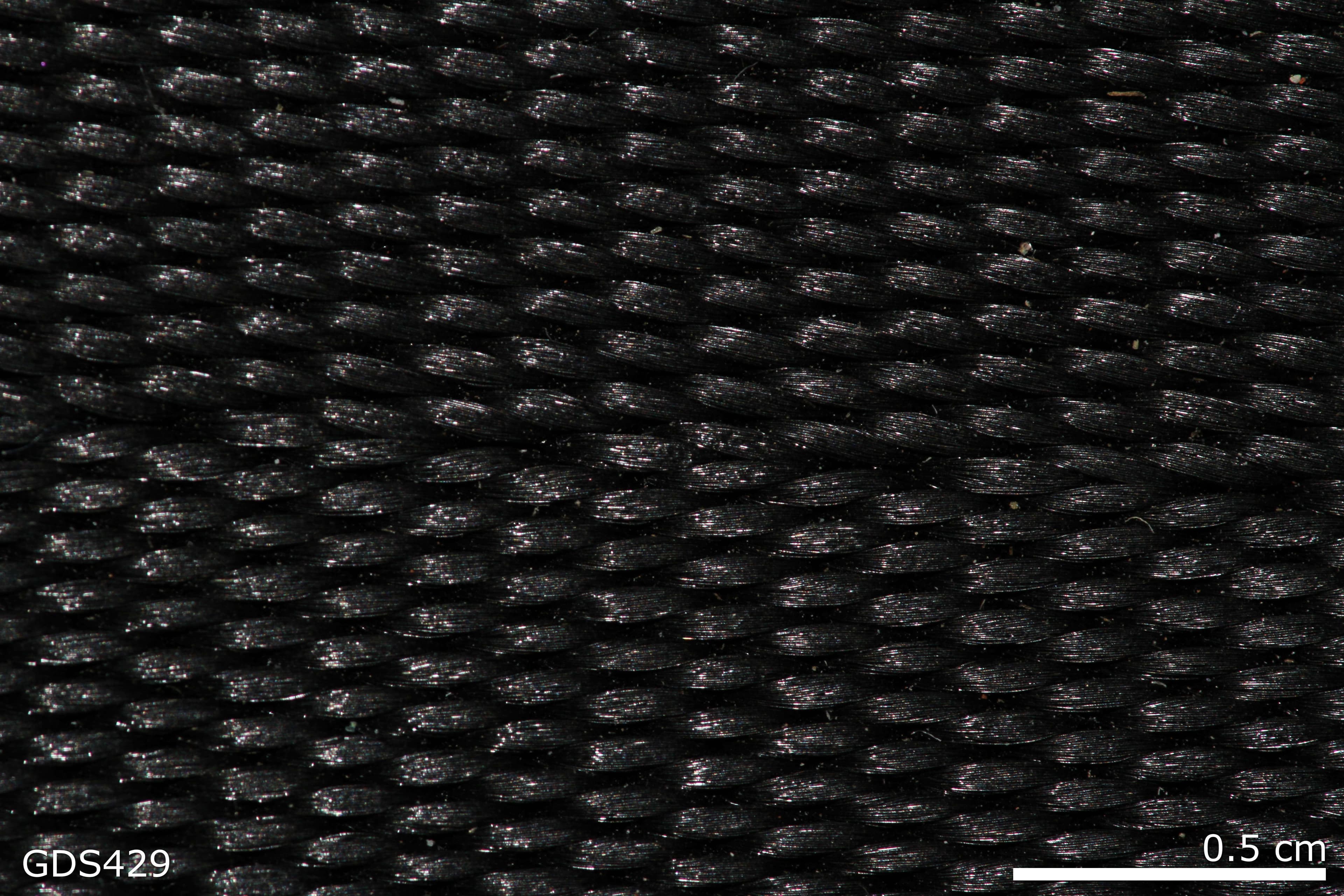 Polyester Webbing sample photograph, USGS Spectral Library Version 7
