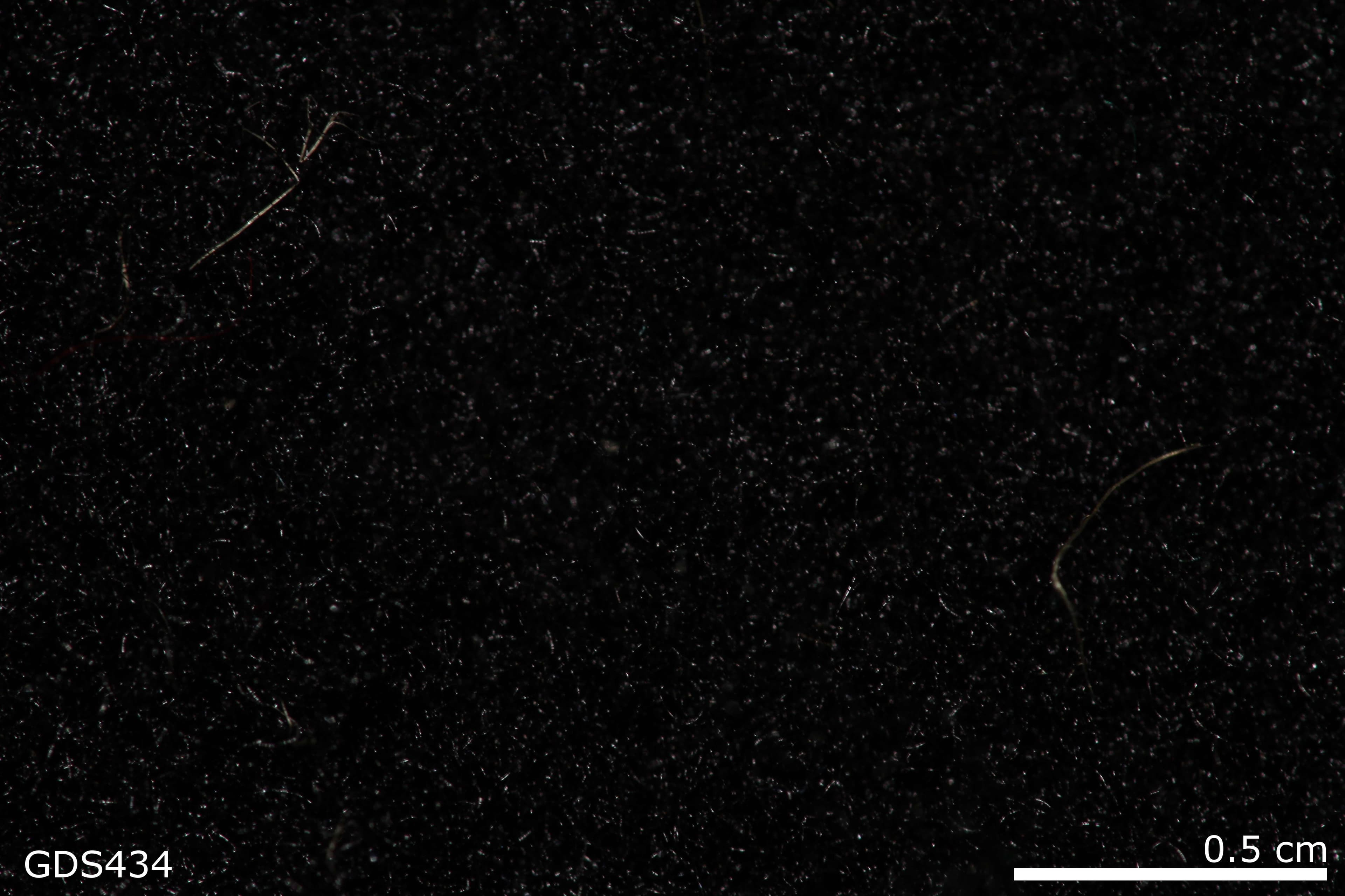 Polyester Pile sample photograph, USGS Spectral Library Version 7