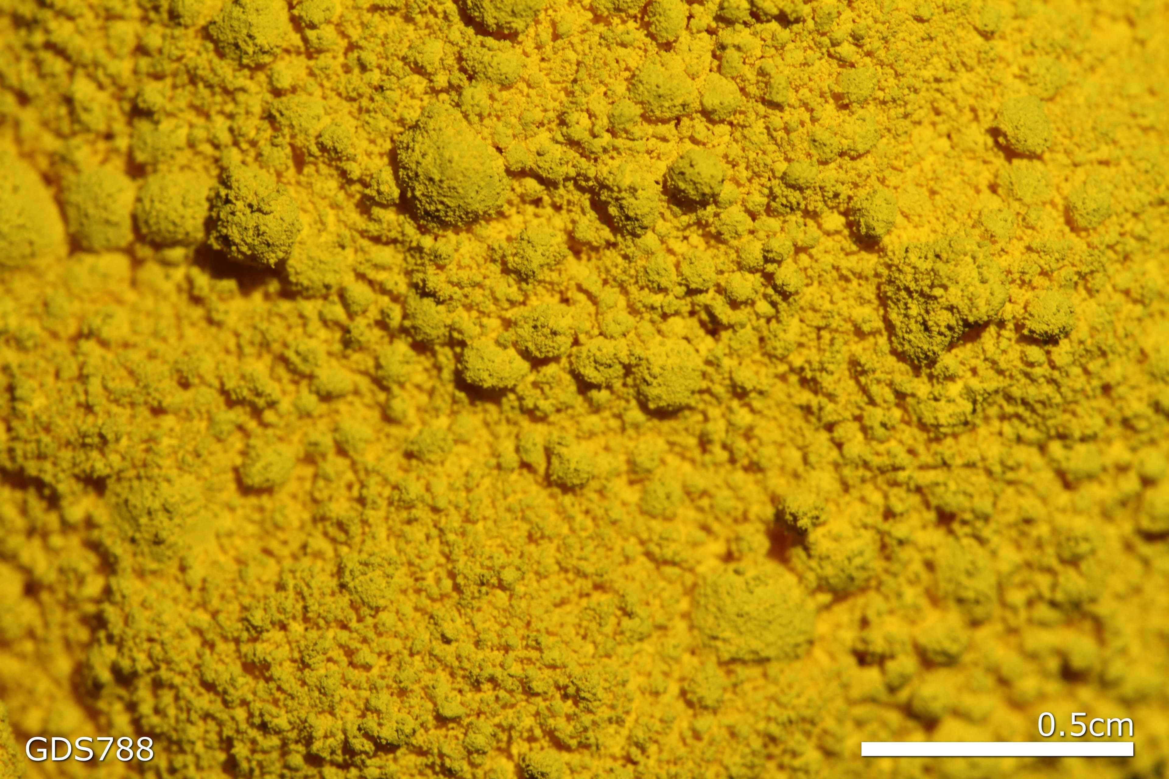 Cadmium yellow 6 med sample photograph, USGS Spectral Library Version 7