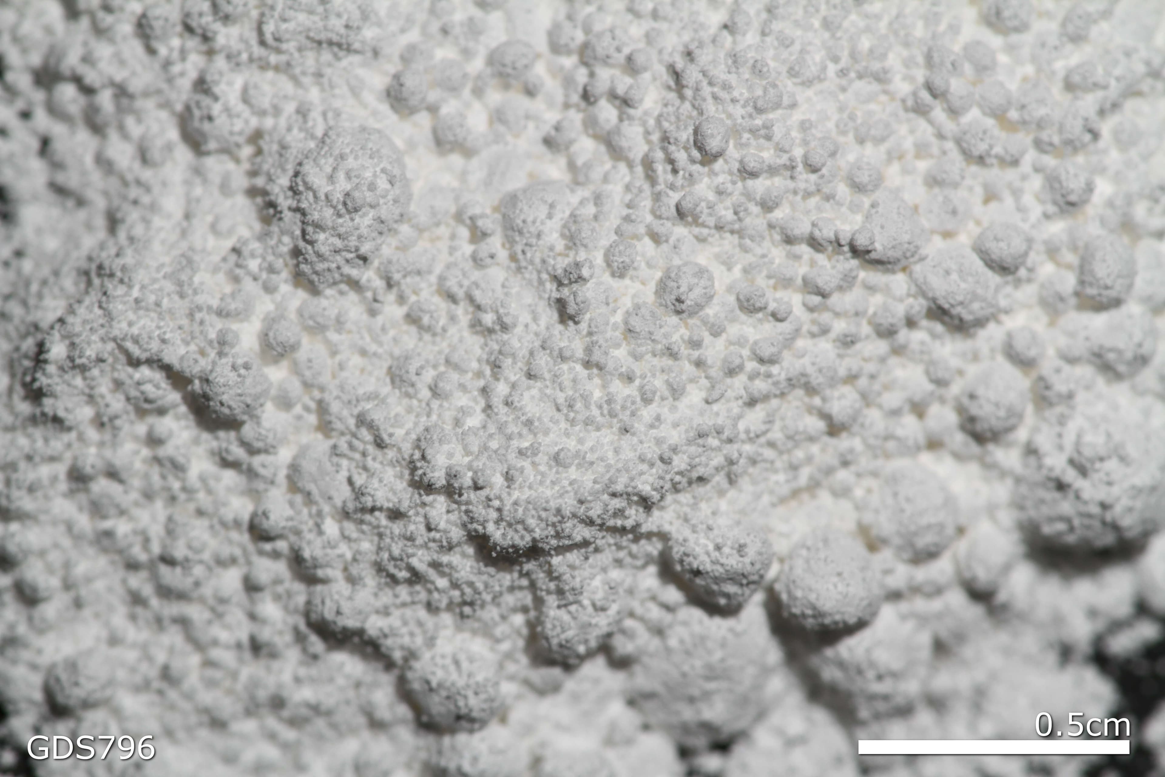 Lead White sample photograph, USGS Spectral Library Version 7