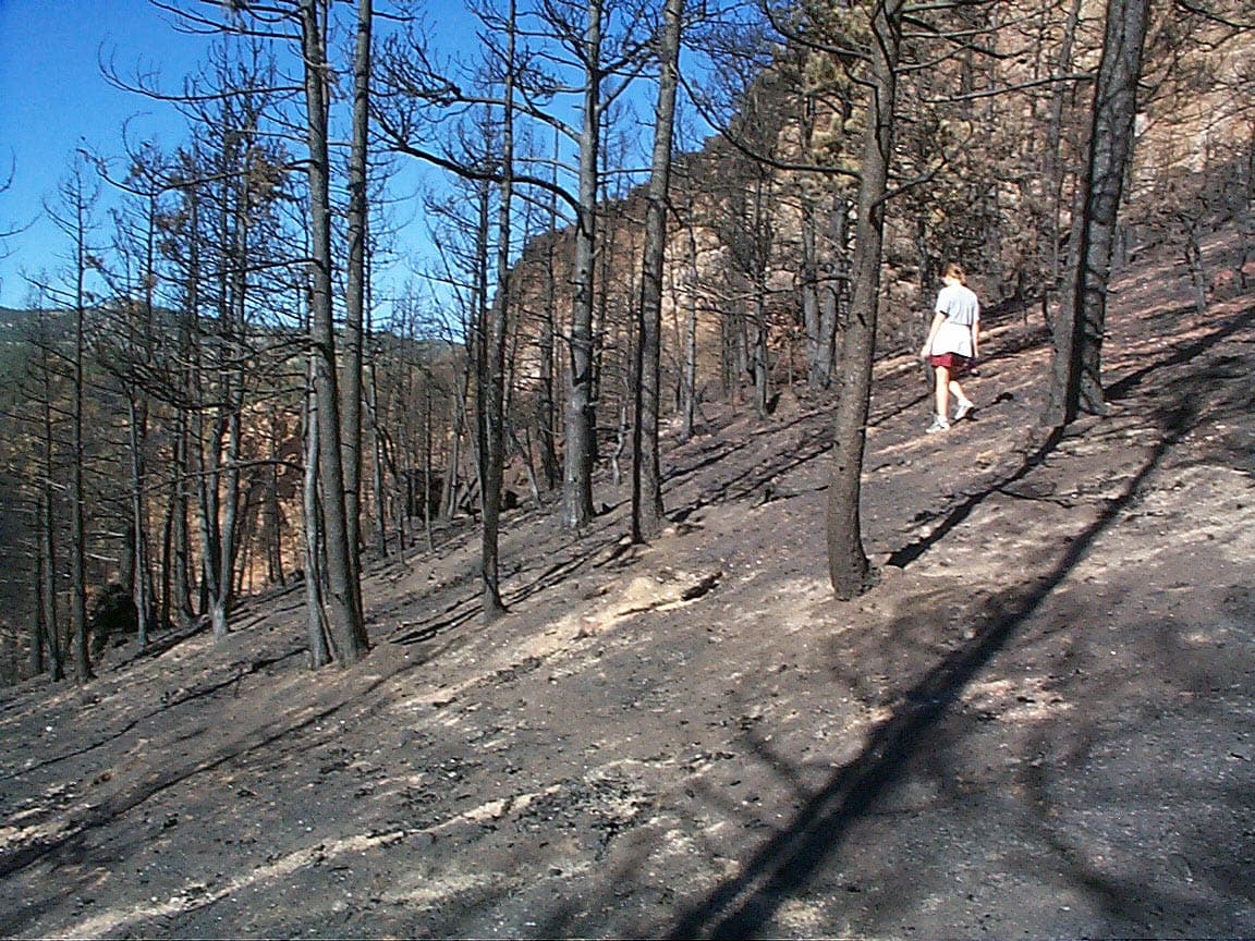 BurnArea Traverse sample