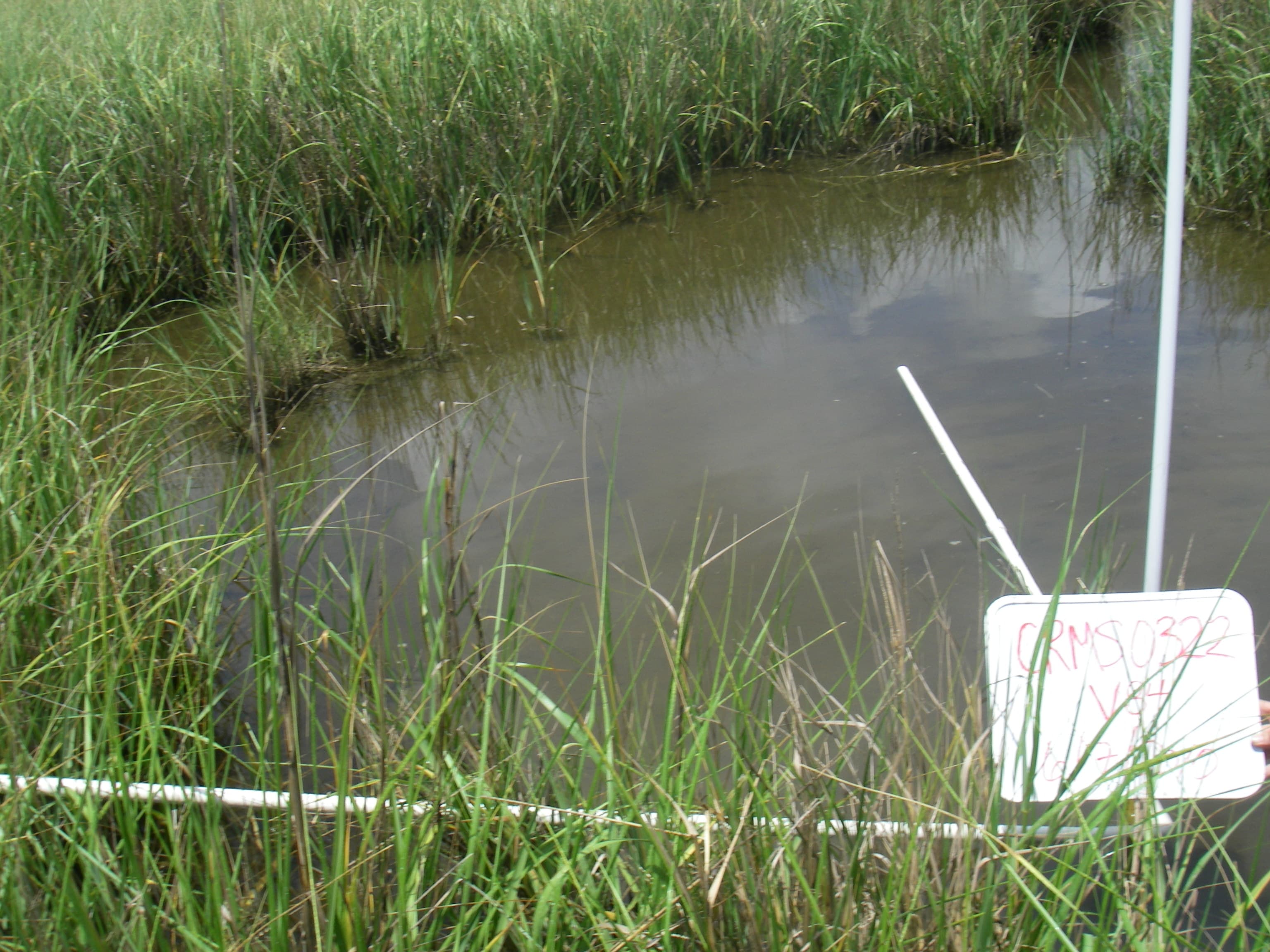Marsh water75%... sample photograph, USGS Spectral Library Version 7