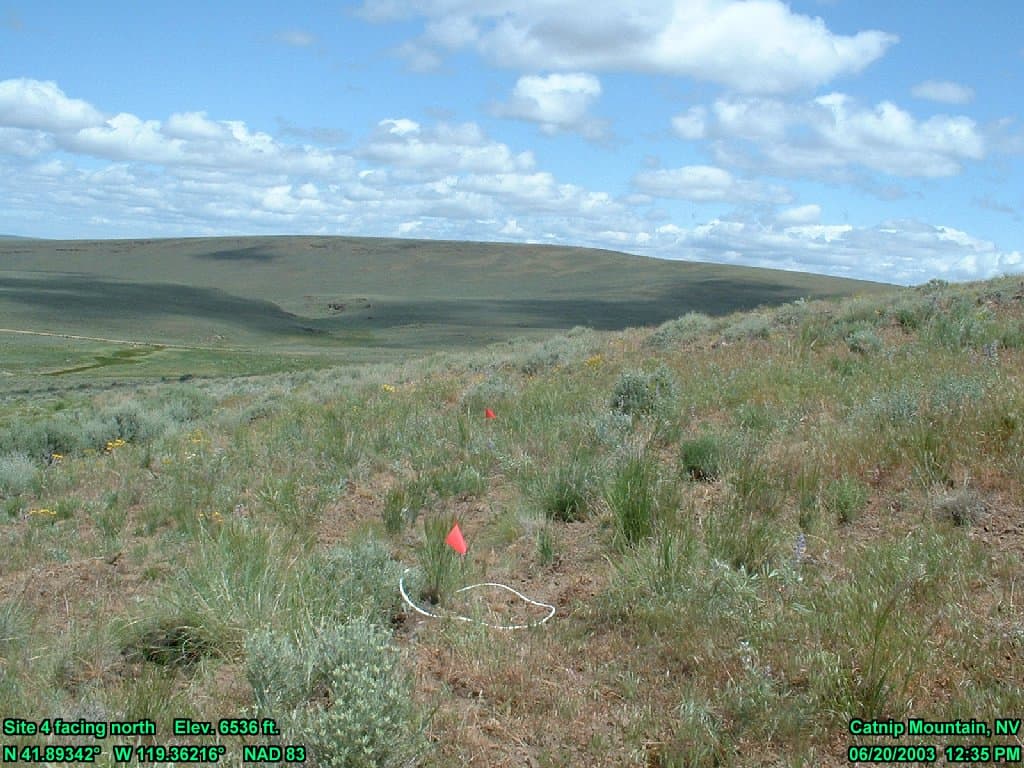 Rangeland sample photograph, USGS Spectral Library Version 7
