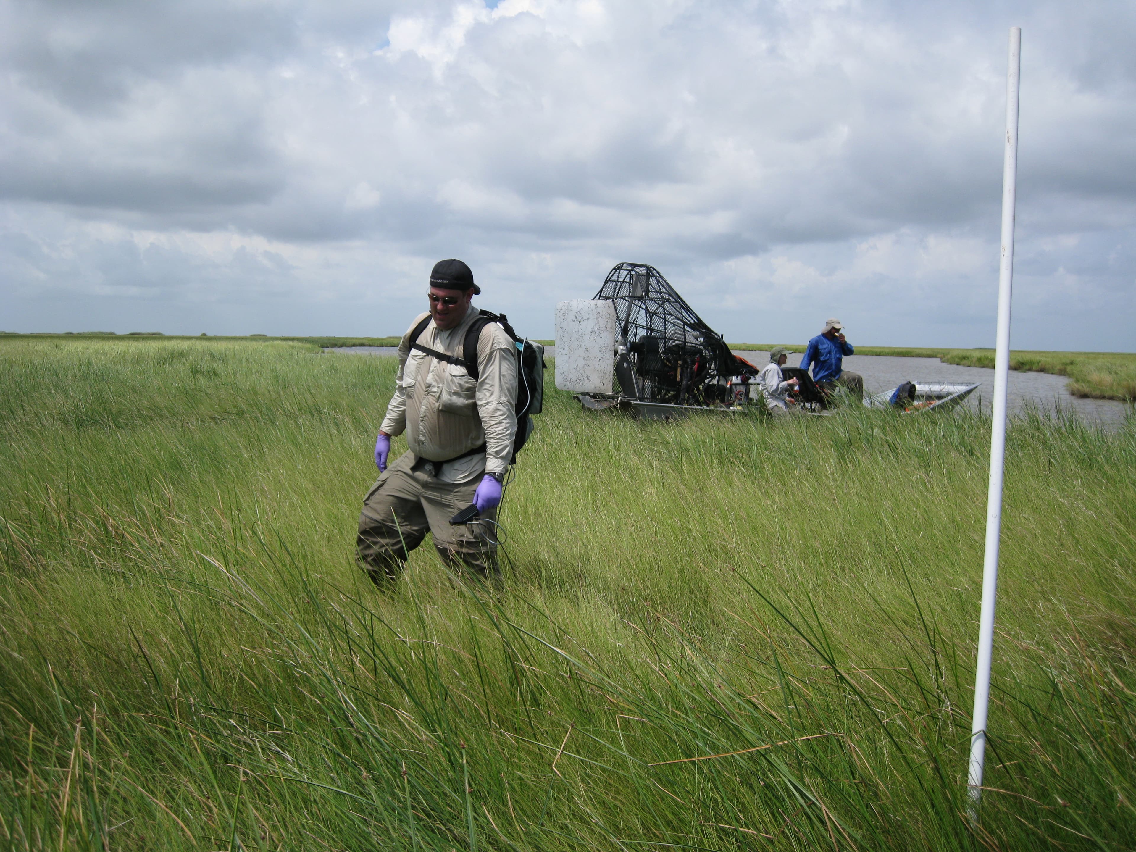 Spar.patens sample photograph, USGS Spectral Library Version 7